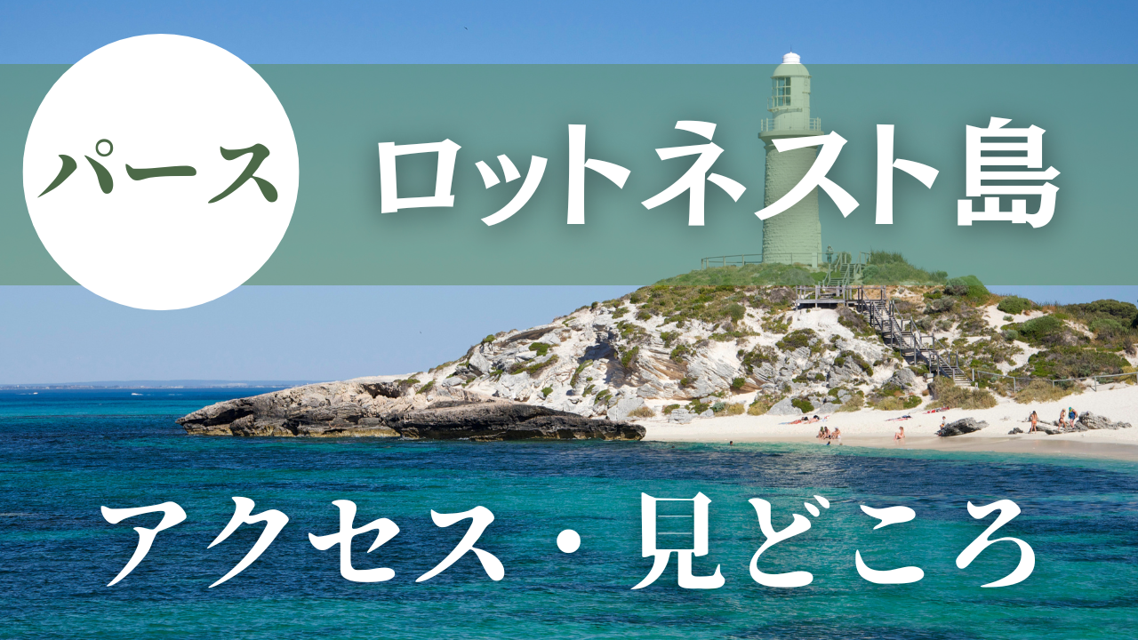 パース・ロットネスト島に行ってきた！アクセスや見どころ紹介